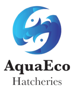 Aqua Eco Ventures – Just another WordPress site